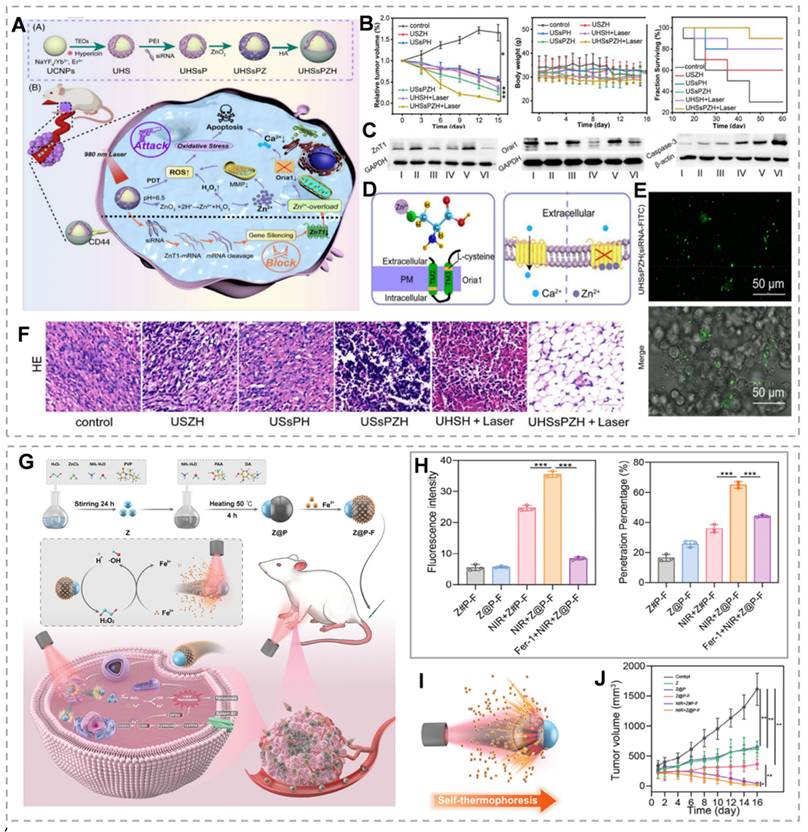 Theranostics Image