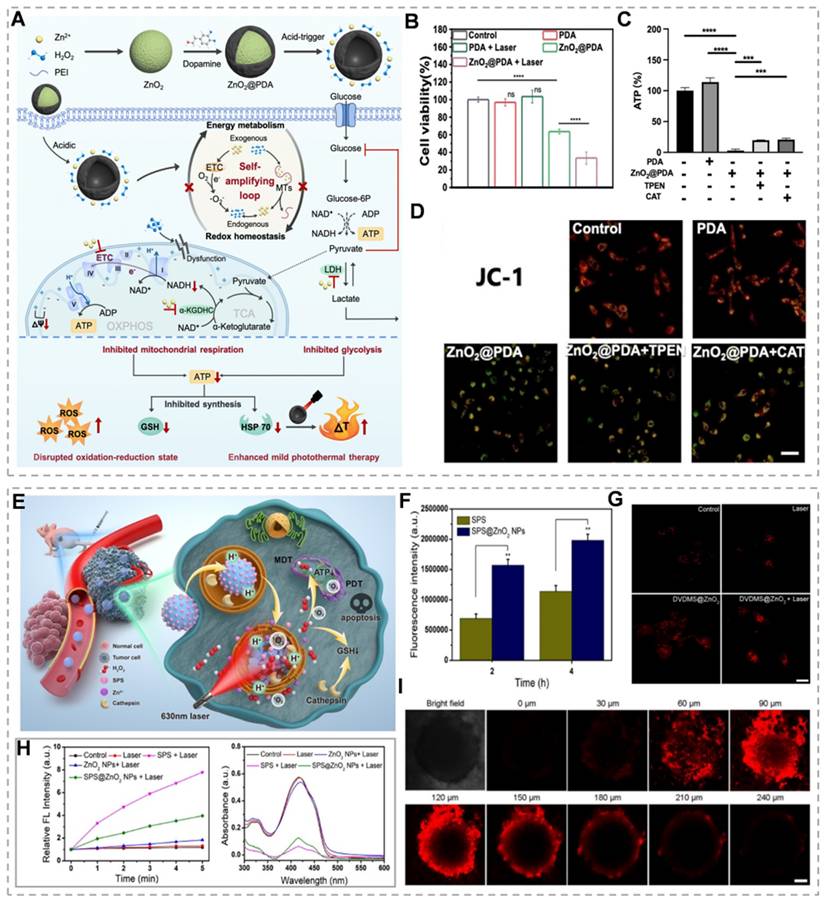 Theranostics Image