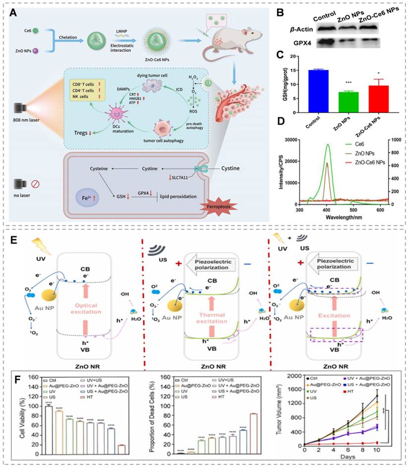 Theranostics Image