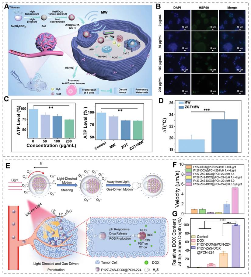 Theranostics Image