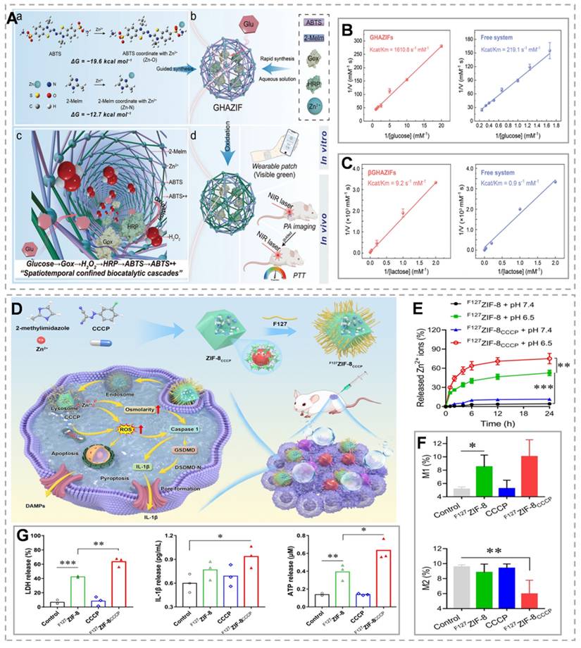 Theranostics Image