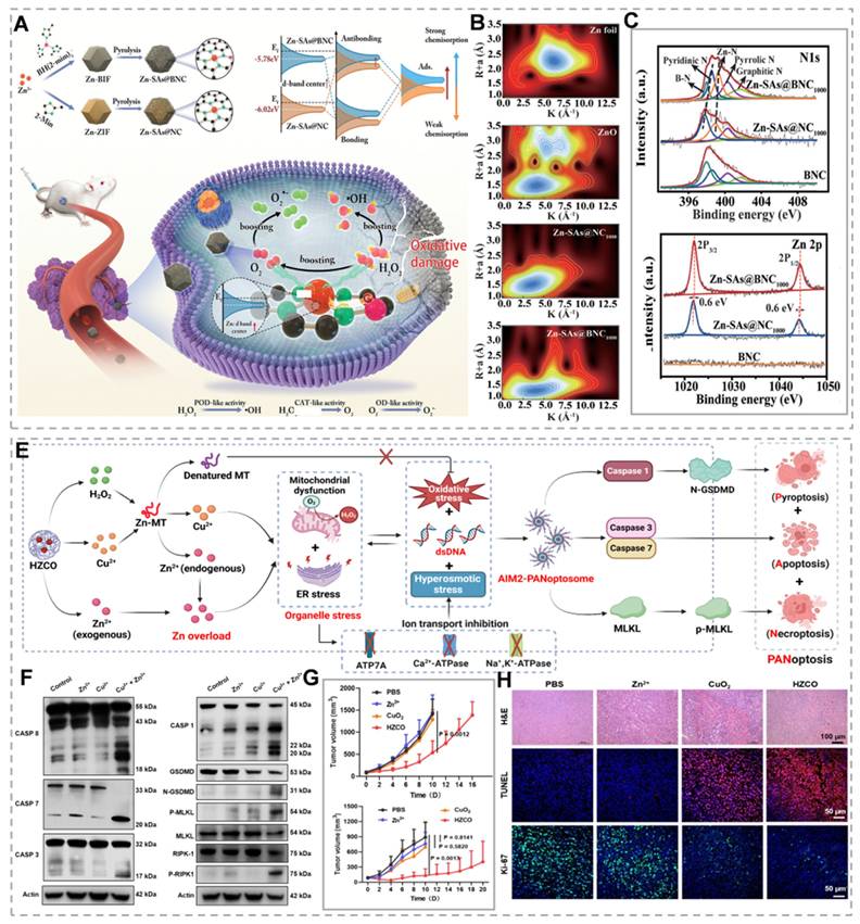 Theranostics Image
