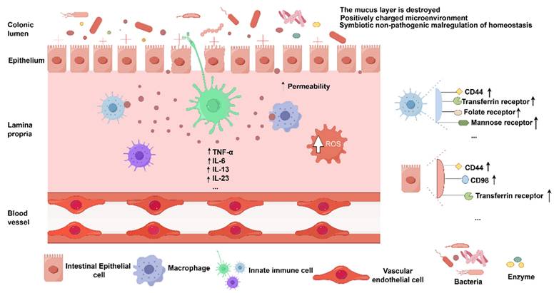 Theranostics Image