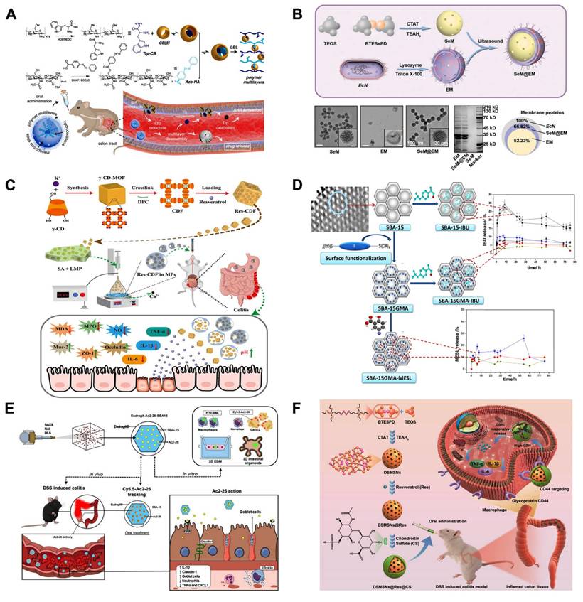 Theranostics Image
