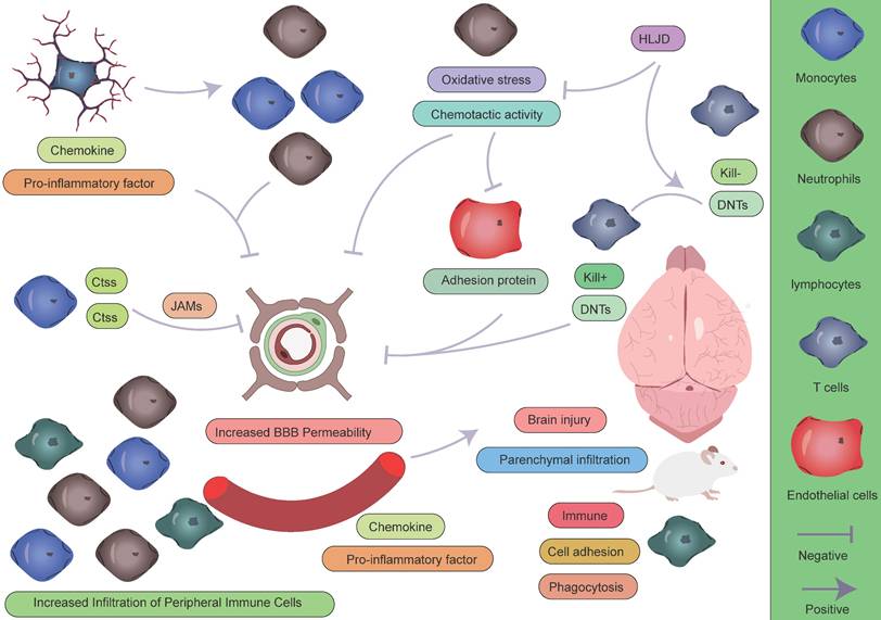 Theranostics Image
