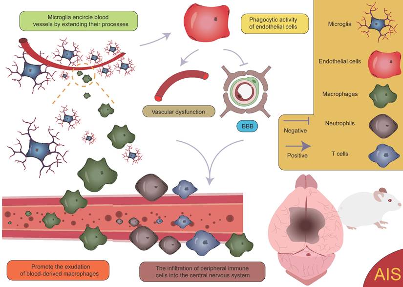Theranostics Image