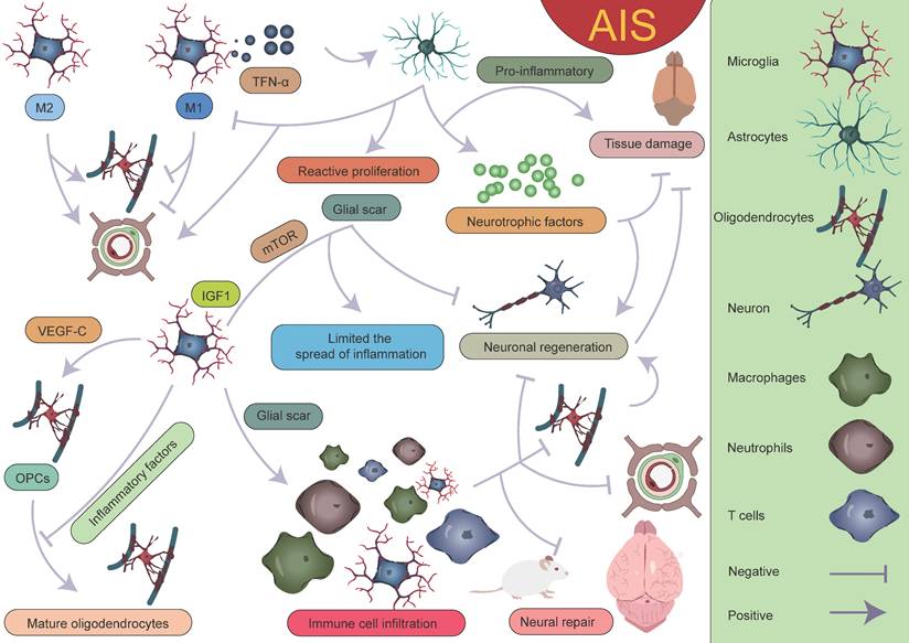 Theranostics Image