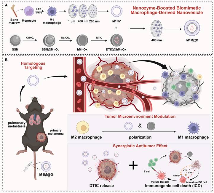 Theranostics Image
