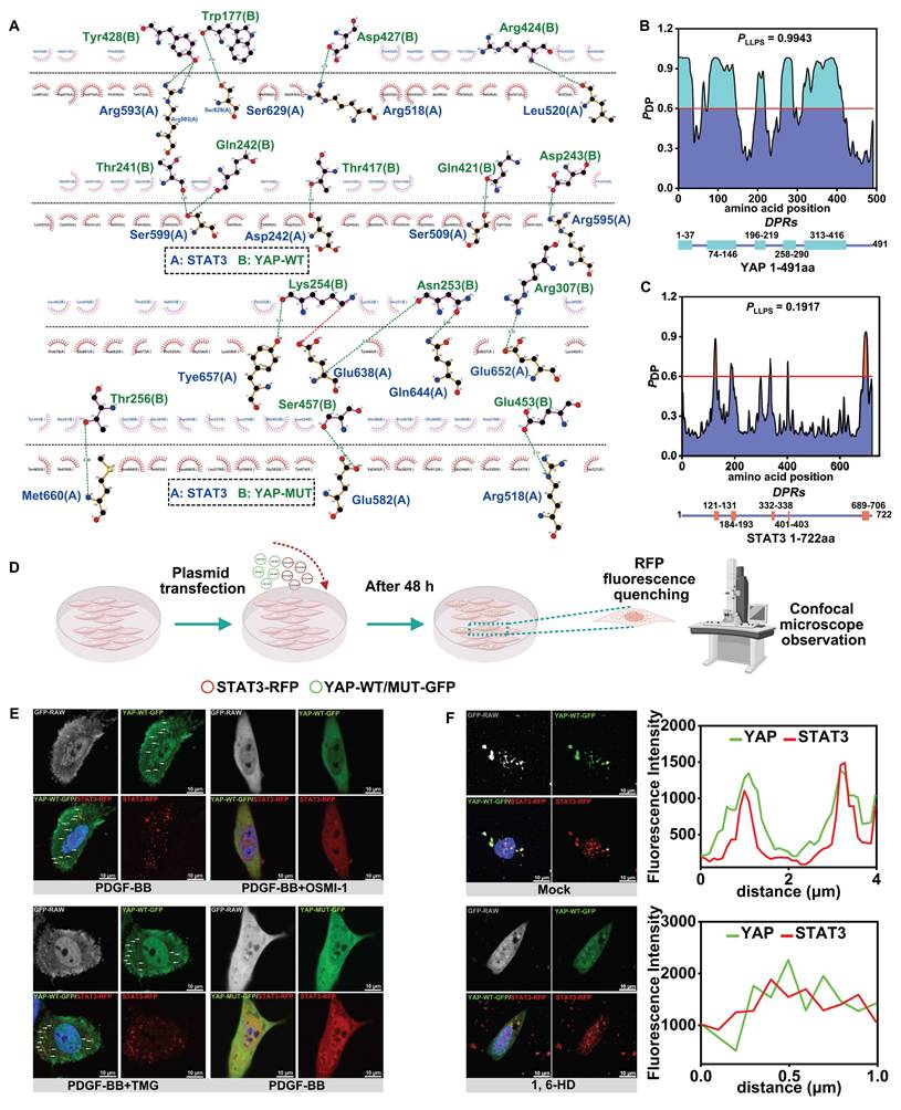 Theranostics Image