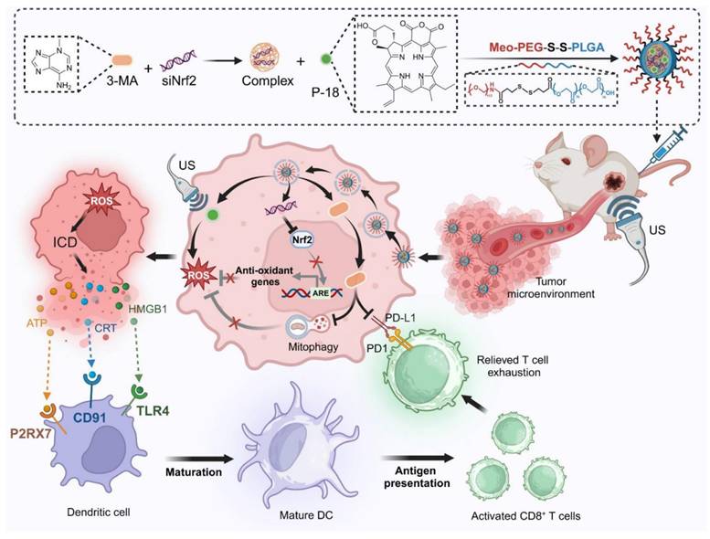 Theranostics Image