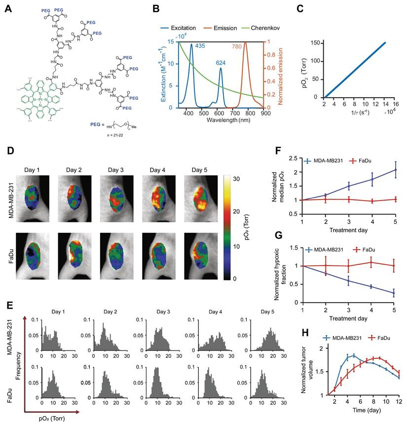 Theranostics Image
