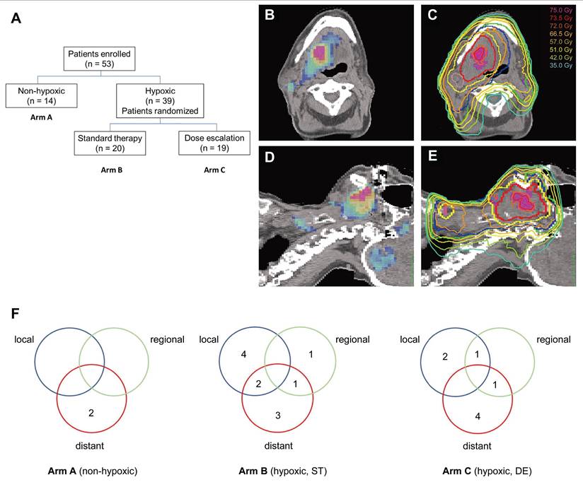 Theranostics Image