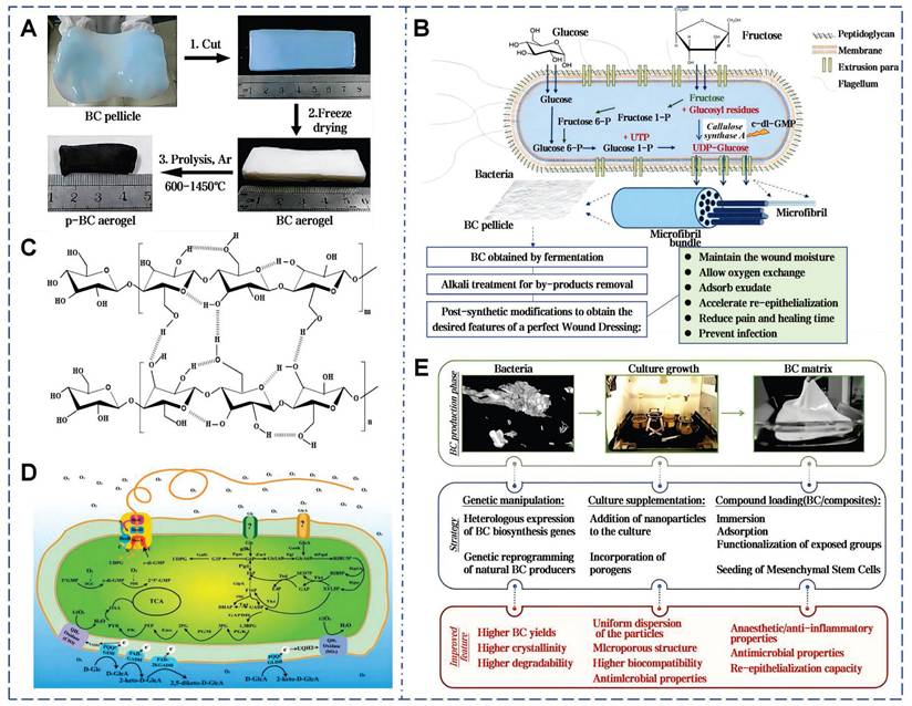 Theranostics Image