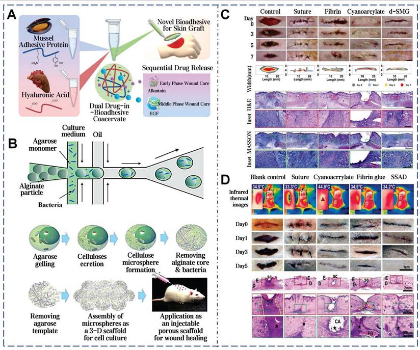 Theranostics Image