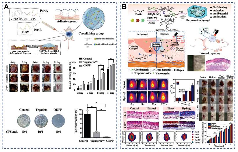 Theranostics Image