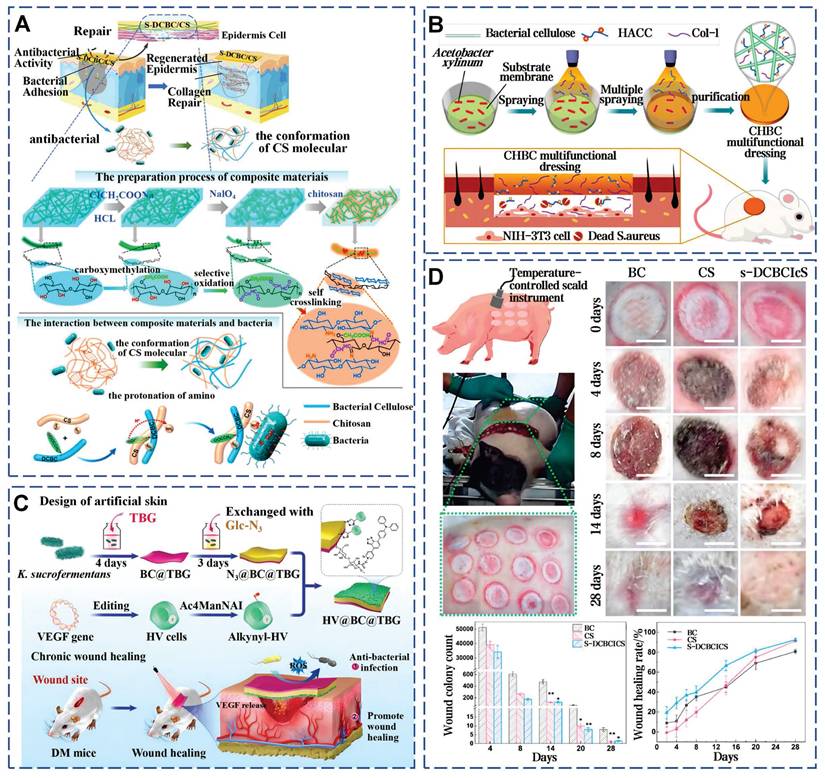 Theranostics Image