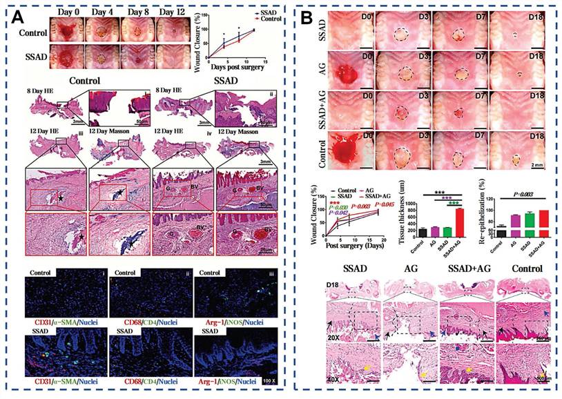 Theranostics Image