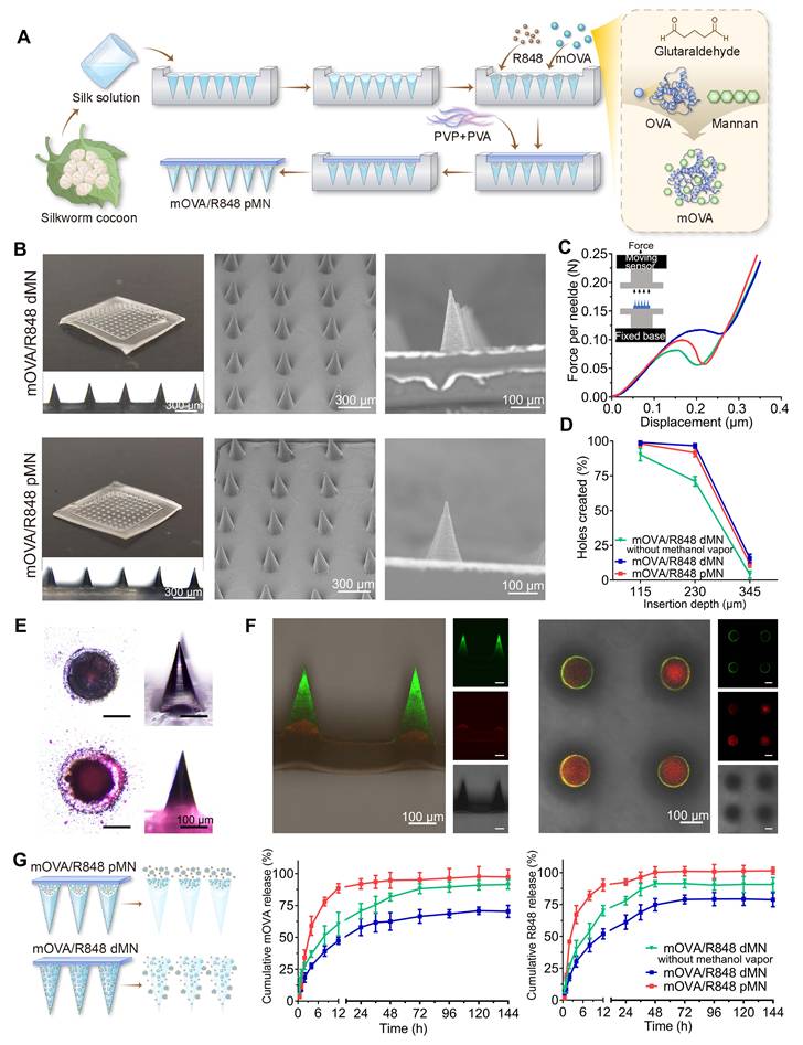 Theranostics Image