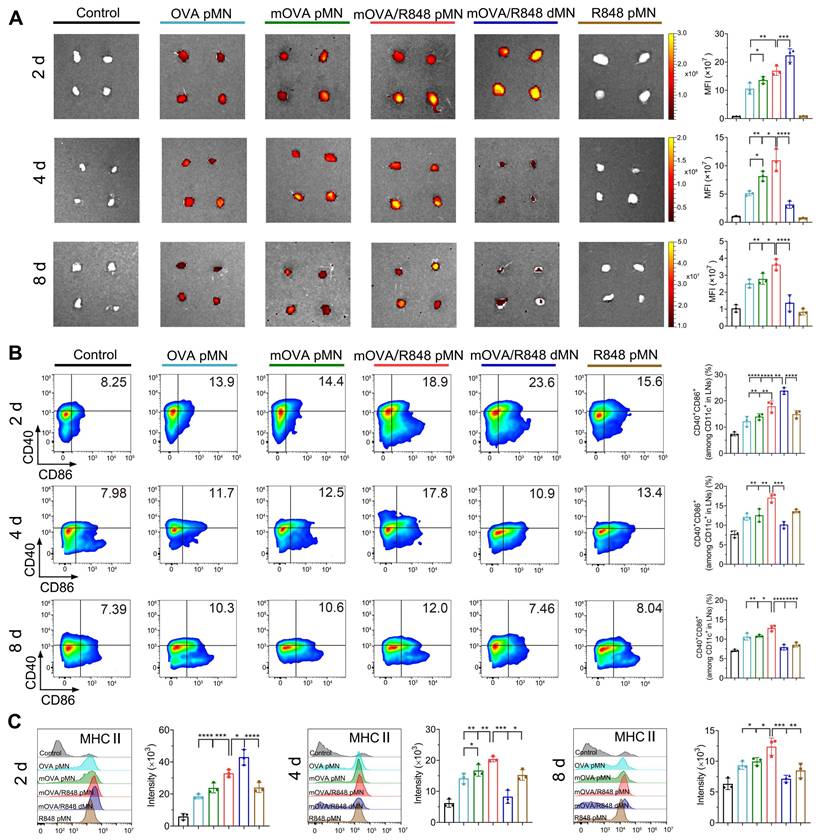 Theranostics Image