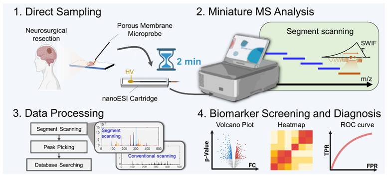 Theranostics Image