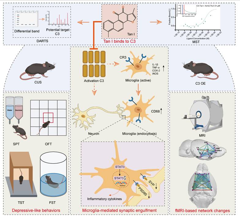 Theranostics Image