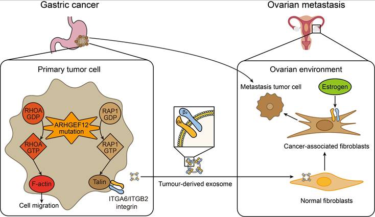 Theranostics Image