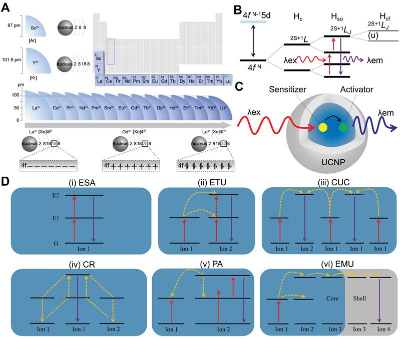 Theranostics Image