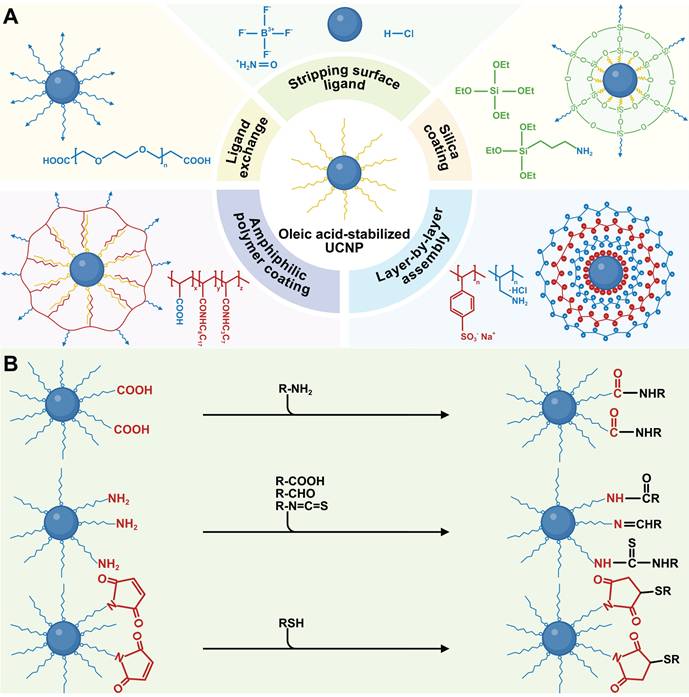 Theranostics Image