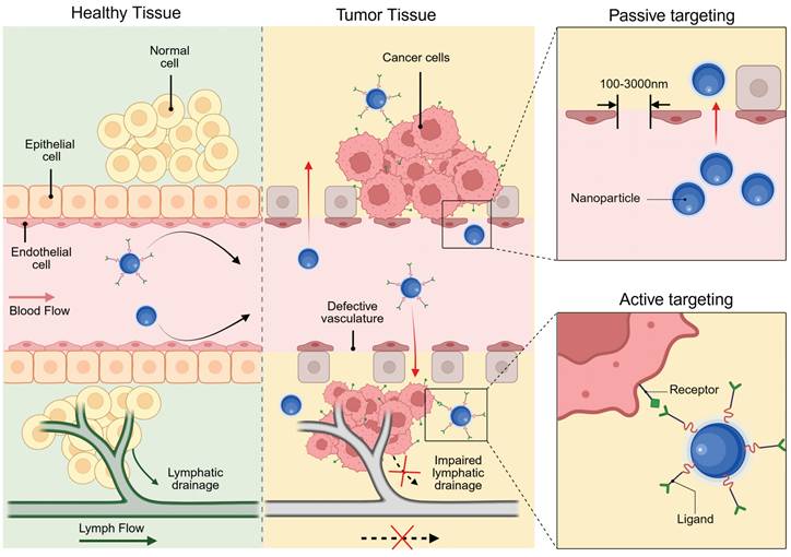 Theranostics Image