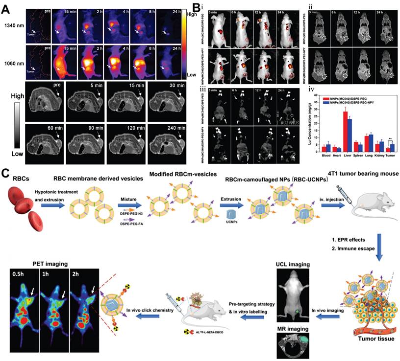 Theranostics Image