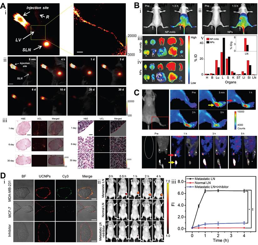 Theranostics Image