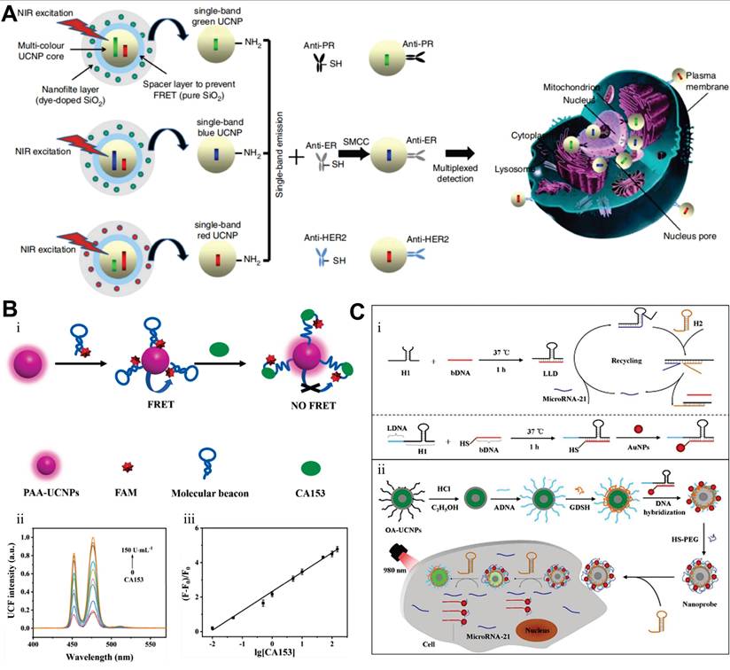 Theranostics Image
