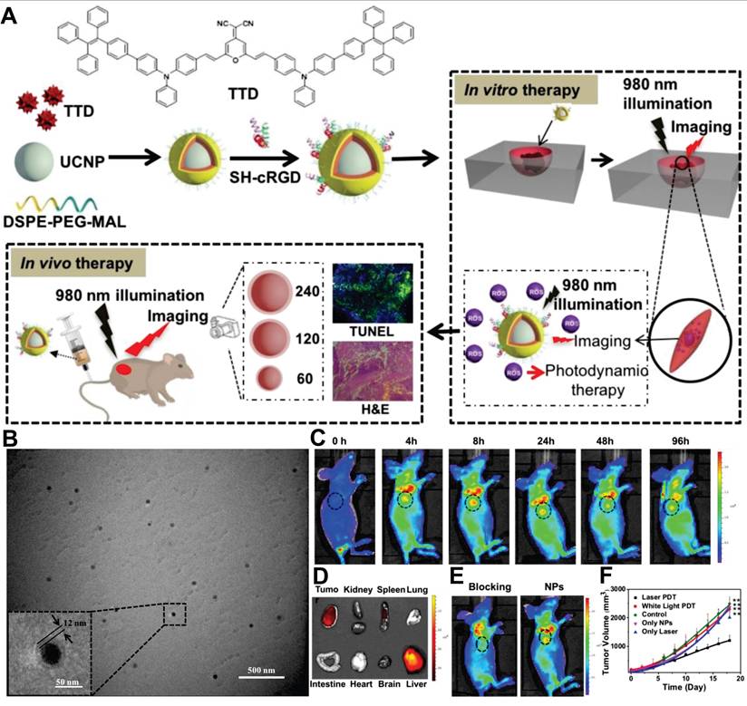 Theranostics Image