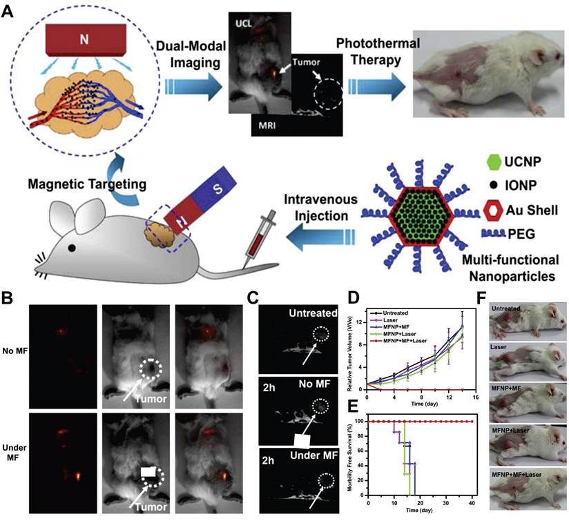 Theranostics Image