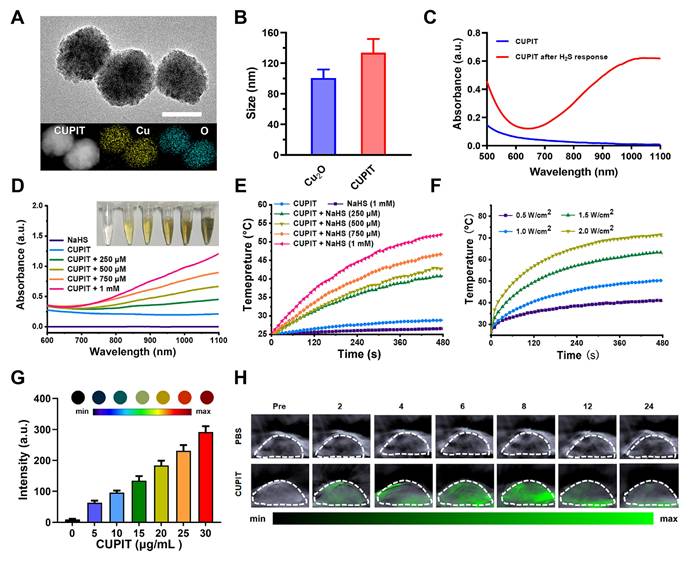 Theranostics Image