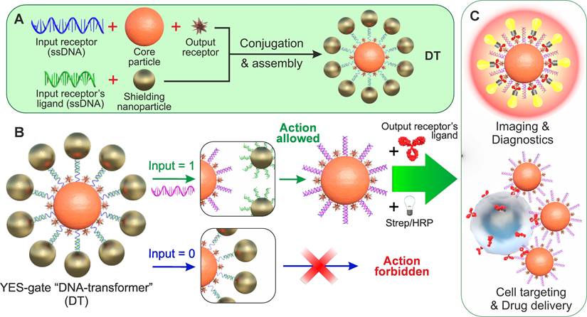 Theranostics Image