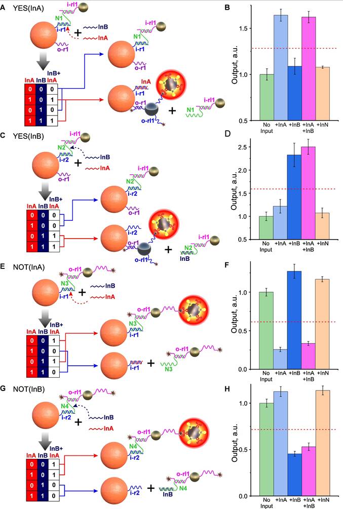 Theranostics Image