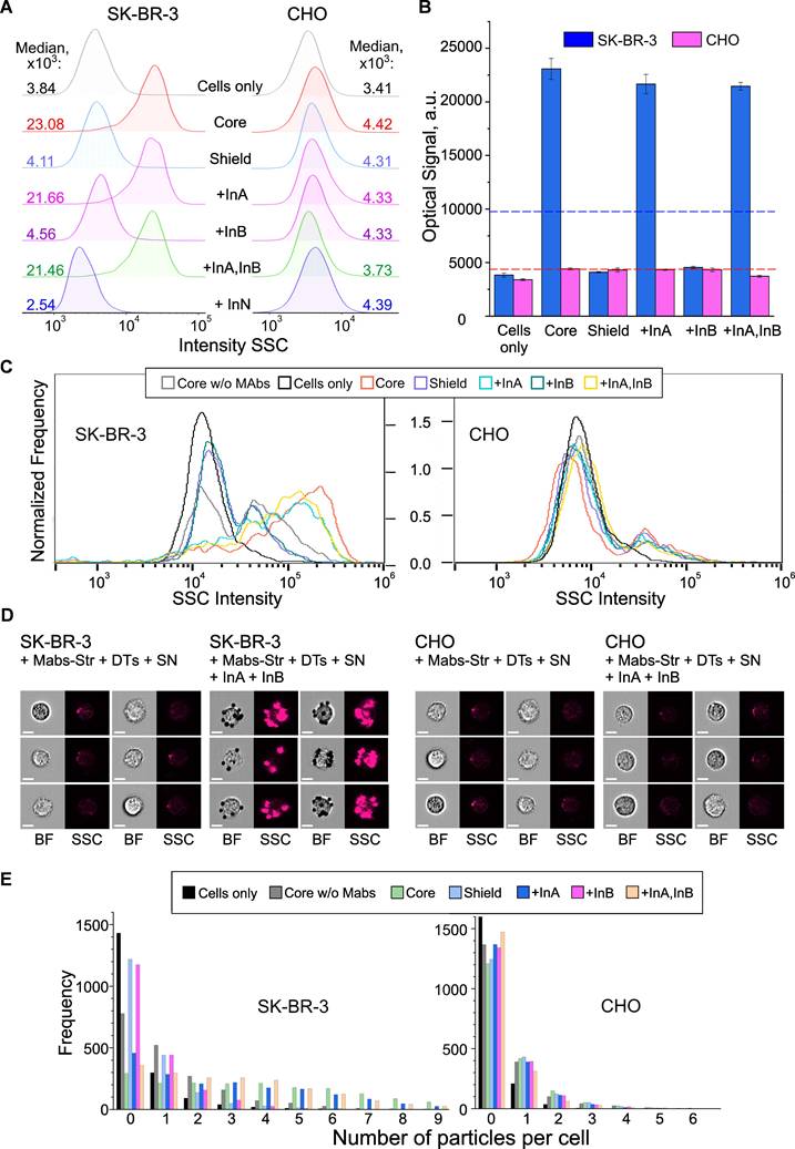 Theranostics Image
