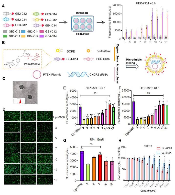 Theranostics Image