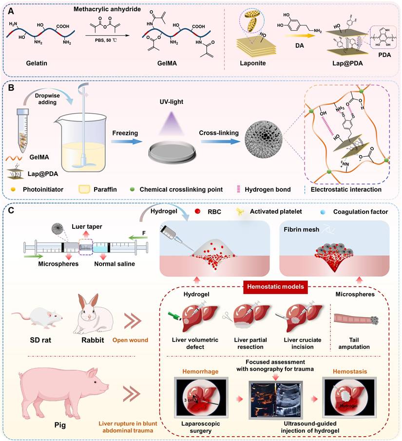 Theranostics Image