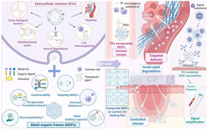 Theranostics Image
