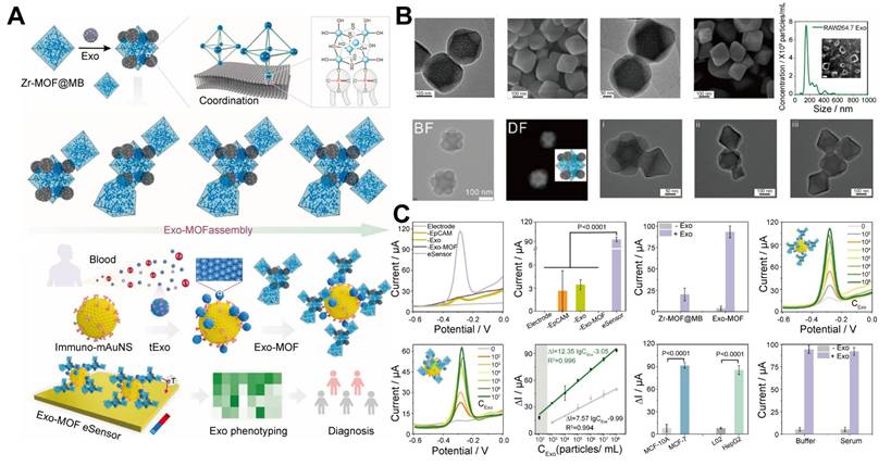 Theranostics Image