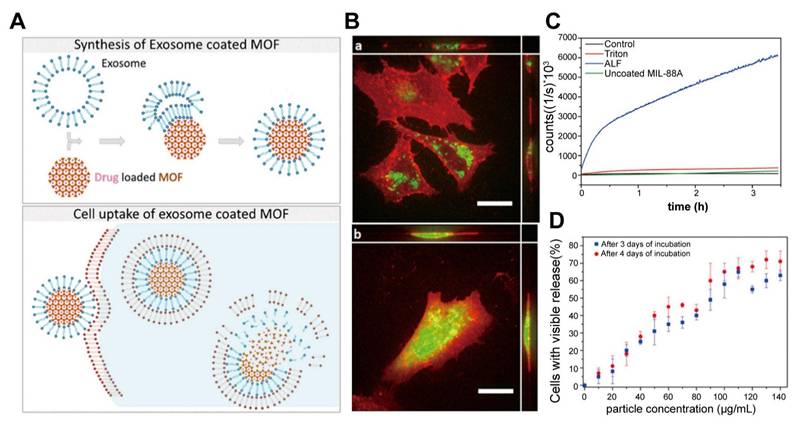 Theranostics Image