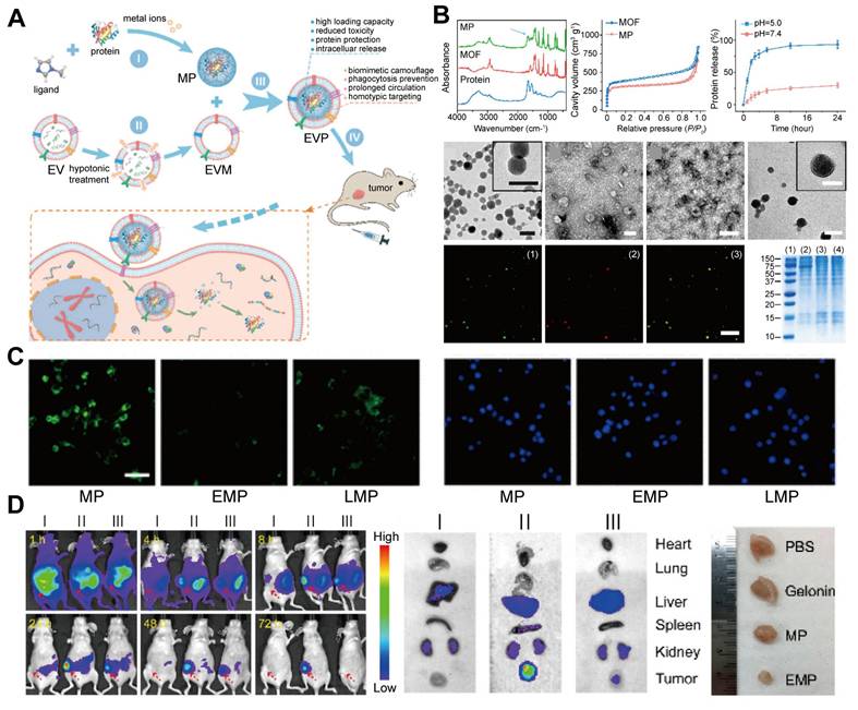 Theranostics Image