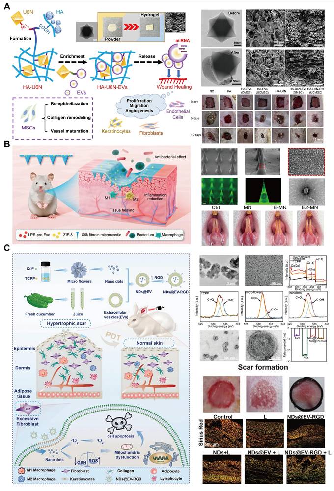Theranostics Image