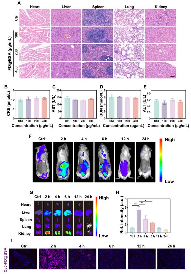 Theranostics Image