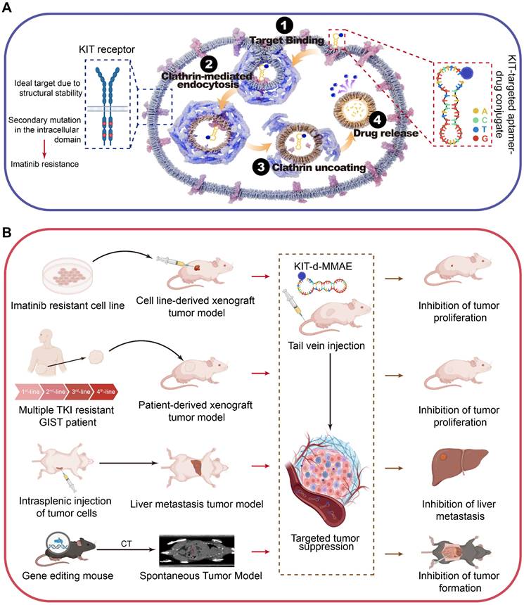 Theranostics Image