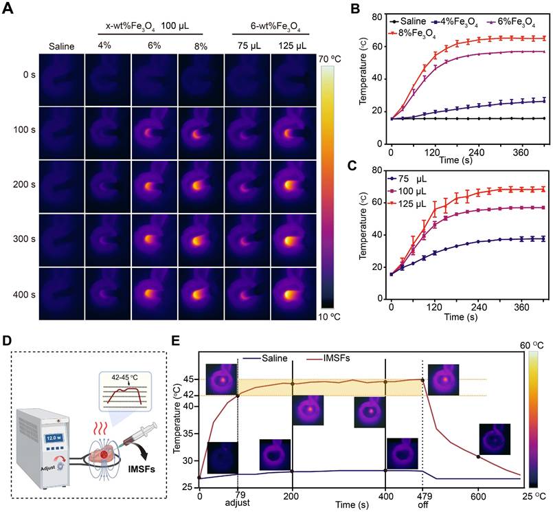 Theranostics Image
