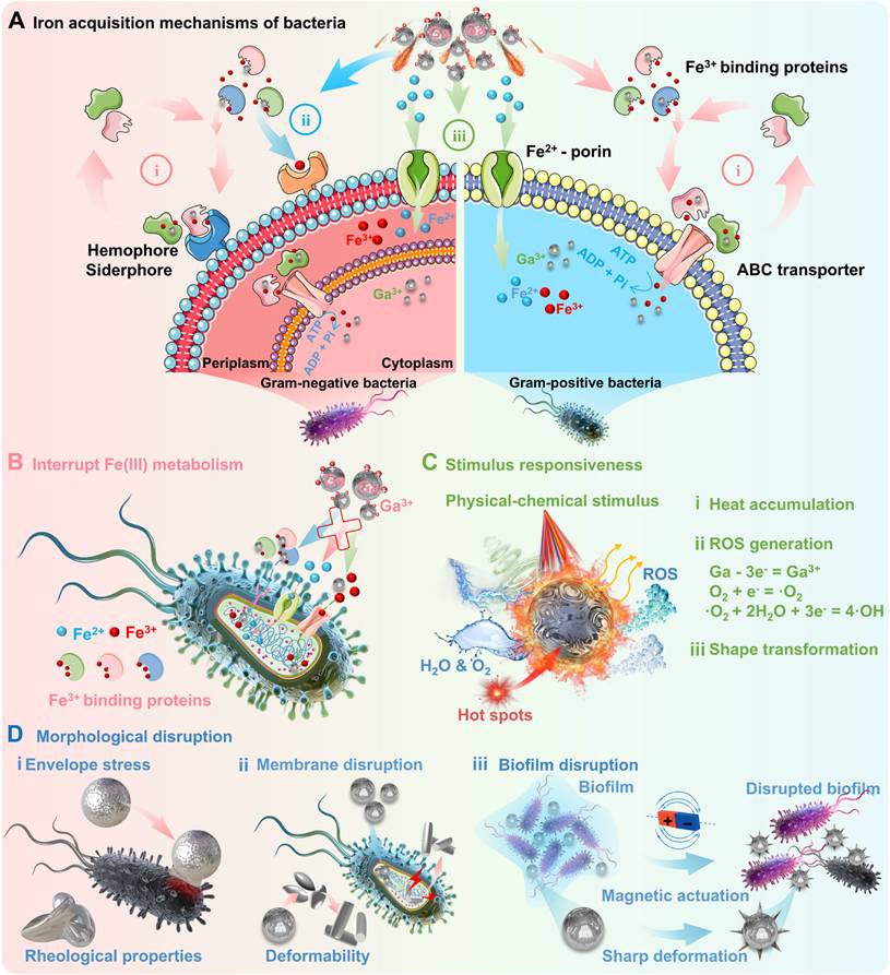 Theranostics Image