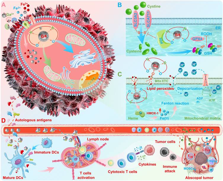 Theranostics Image